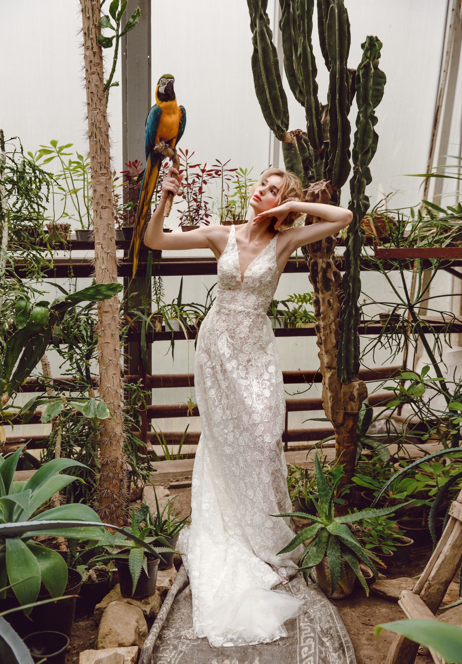 Aileen wedding dress, front view