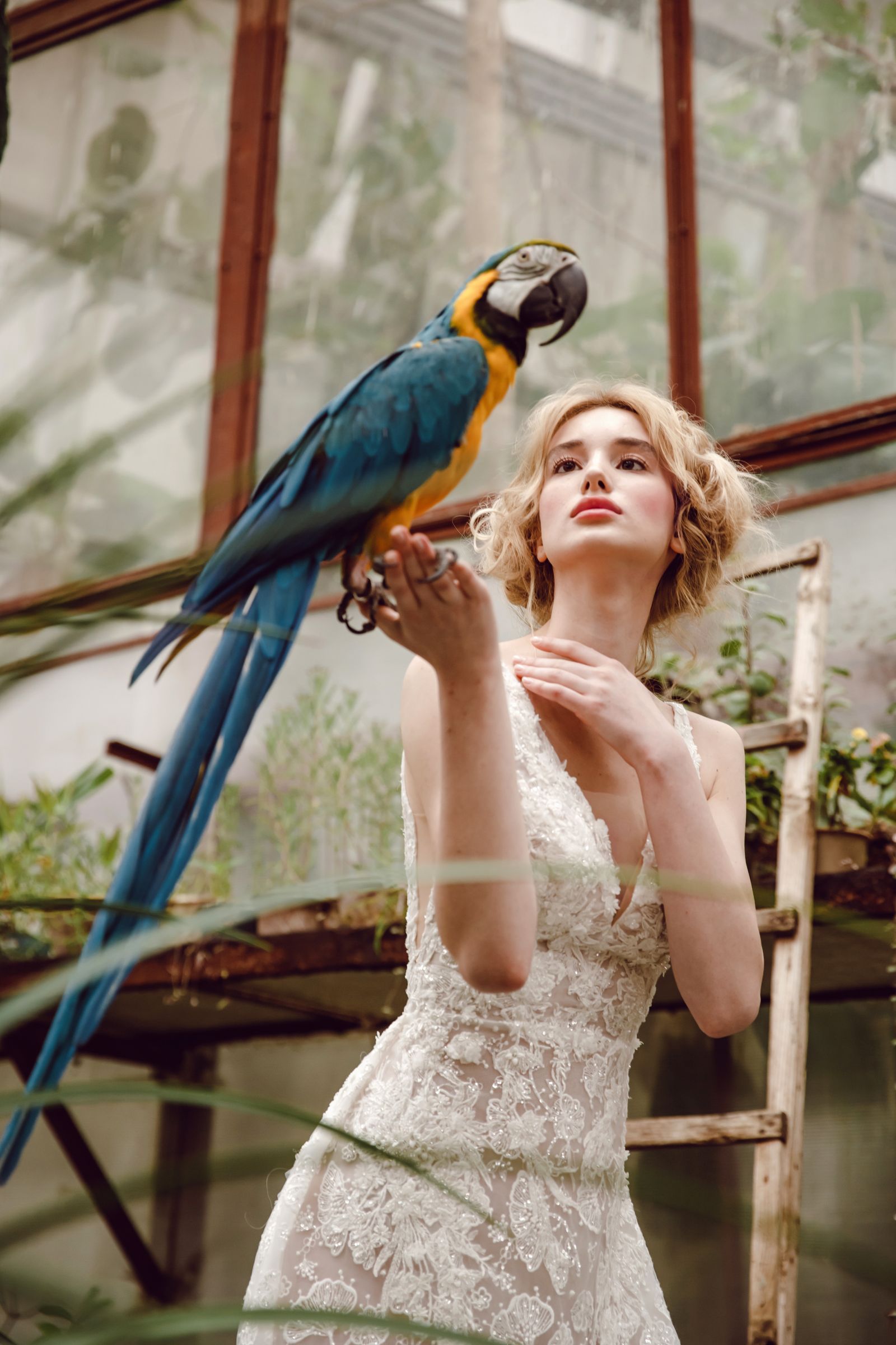 Aileen wedding dress, front detail view
