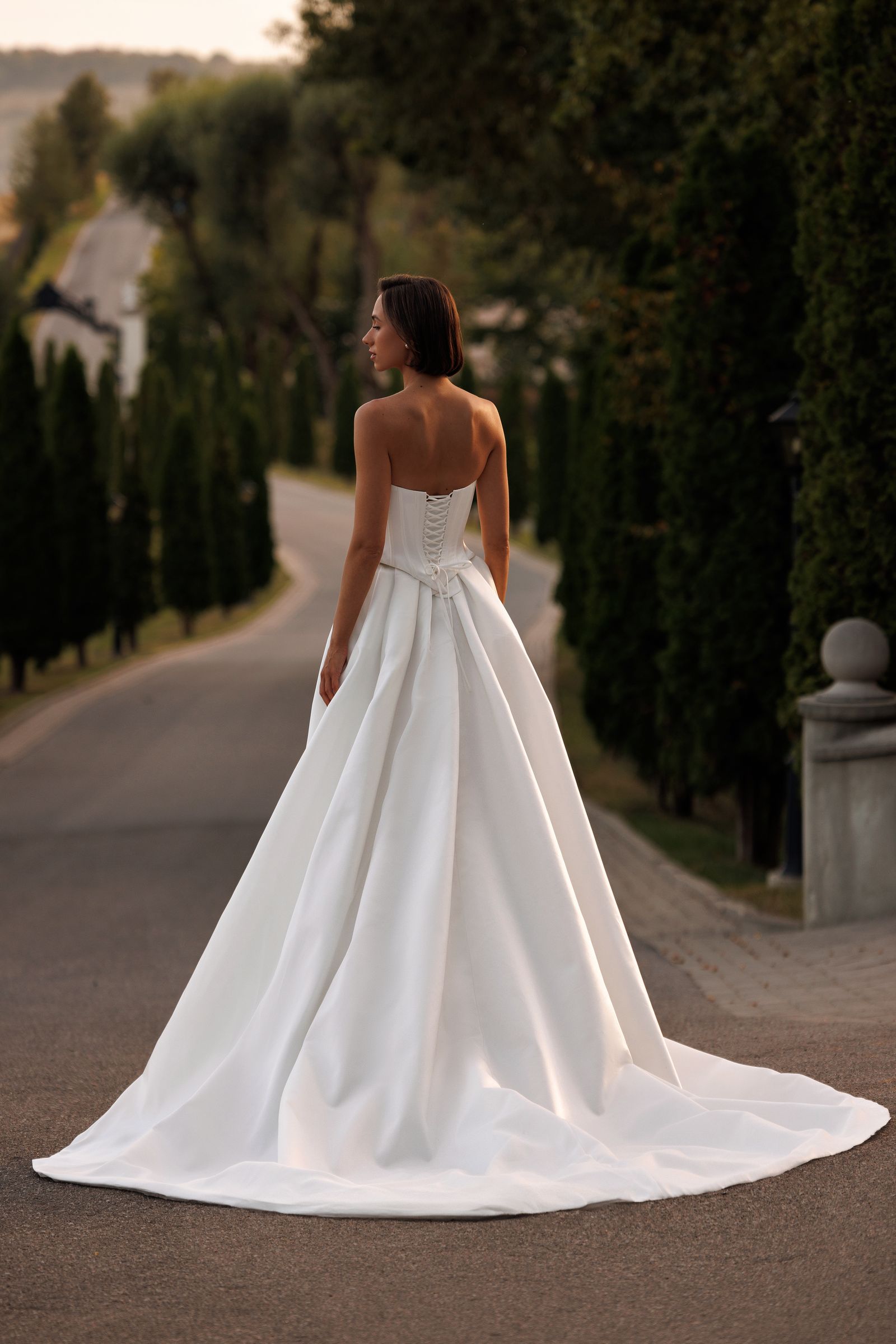 Antonia — ball gown wedding dress, back view