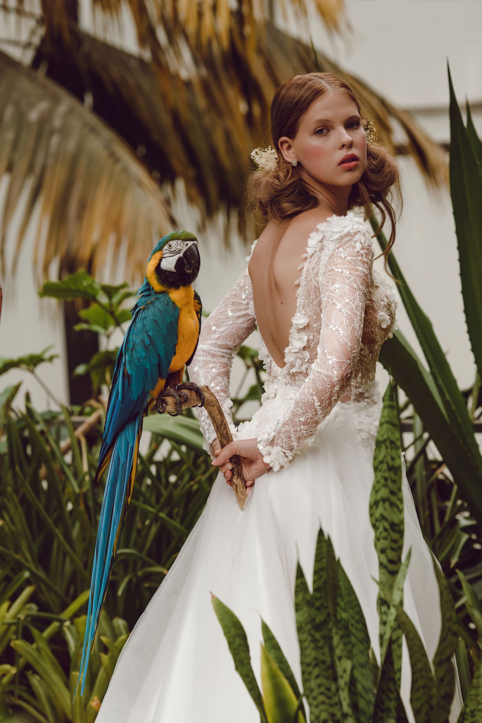 Gloria wedding dress, back detail view